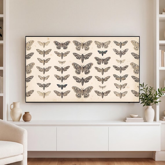 Moth Specimen Plate Samsung Frame TV Art — view 3