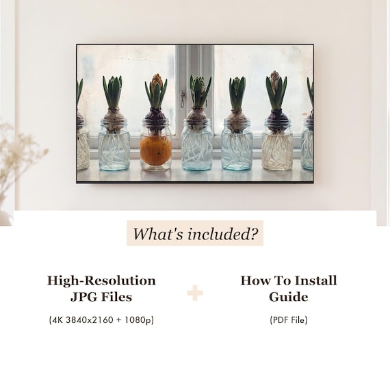 Hyacinth Jars Samsung Frame TV Art — view 4