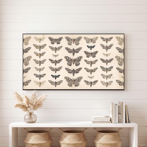 Moth Specimen Plate Samsung Frame TV Art — view 6