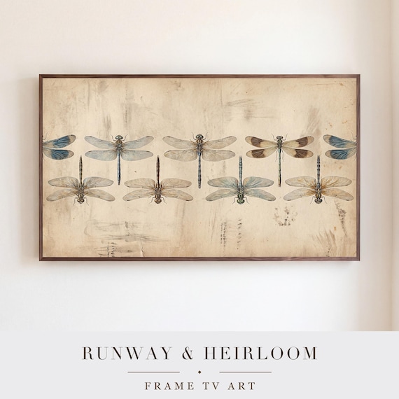 Dragonfly Specimen Plate Samsung Frame TV Art — view 5
