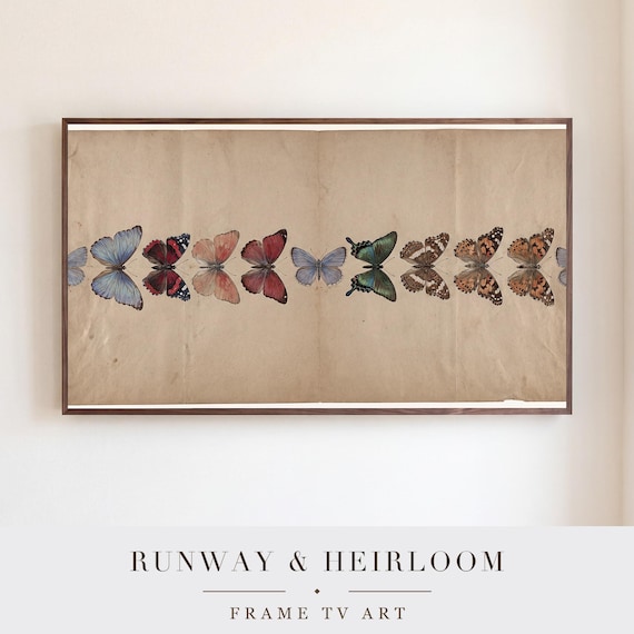 Butterfly Specimen Plate Samsung Frame TV Art — view 5