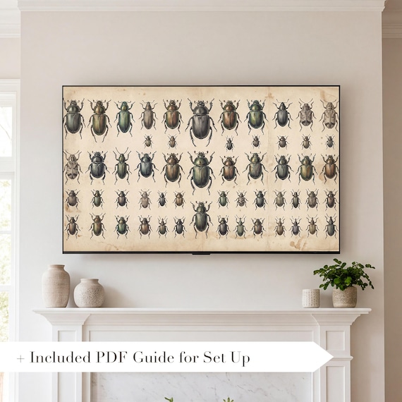 Beetle Specimen Plate Samsung Frame TV Art — view 2