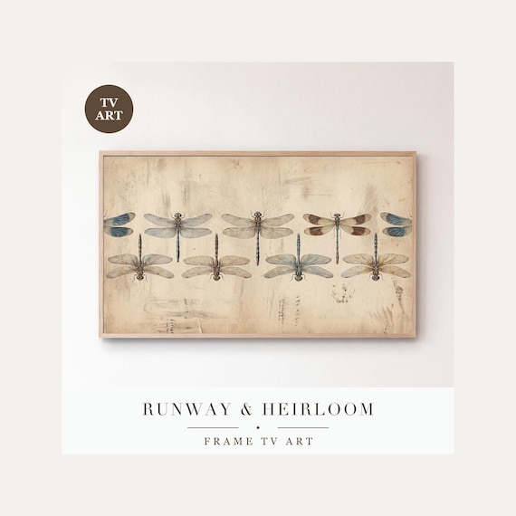 Dragonfly Specimen Plate Frame TV Art, Samsung Frame TV Art Victorian Entomology Gouache, Dark …
