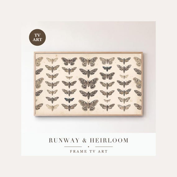 Entomology Frame TV Art Bundle of 6, Samsung Frame TV Art Victorian Specimen Plate Gouache, Dar…