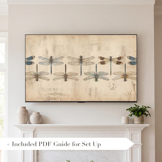 Dragonfly Specimen Plate Samsung Frame TV Art — view 2
