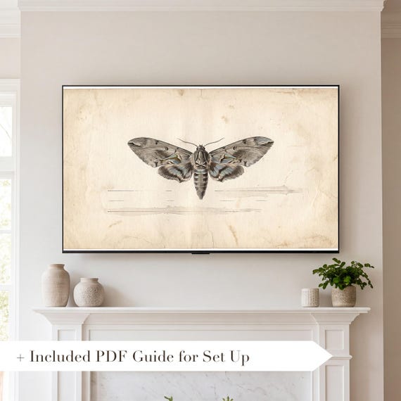 Single Moth Samsung Frame TV Art — view 2
