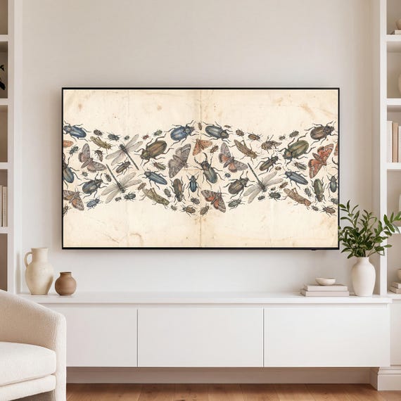 Insect Specimen Plate Samsung Frame TV Art — view 3