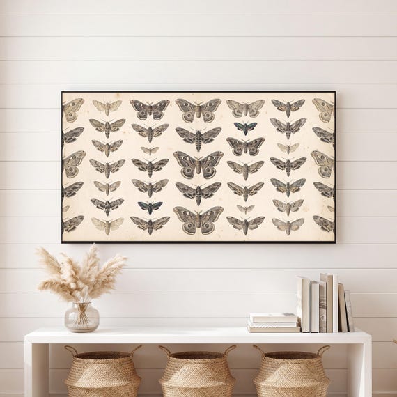 Entomology Samsung Frame TV Art Bundle of 6 — view 6