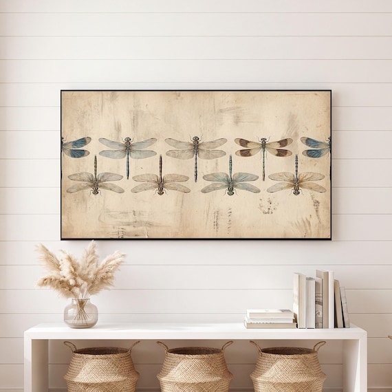 Dragonfly Specimen Plate Samsung Frame TV Art — view 6
