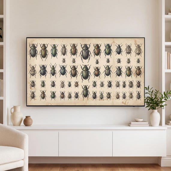 Beetle Specimen Plate Samsung Frame TV Art — view 3