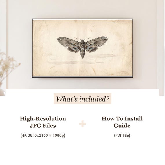 Single Moth Samsung Frame TV Art — view 4