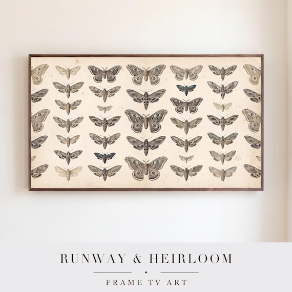 Entomology Samsung Frame TV Art Bundle of 6 — view 5