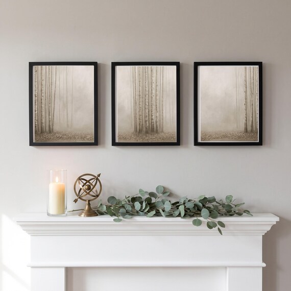 Misty Birch Forest Triptych Set of 3 — view 6