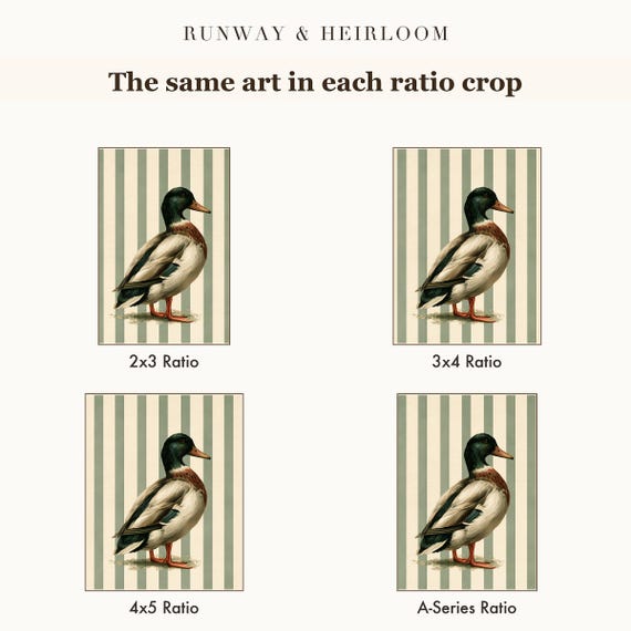 Mallard on Ticking Stripes Watercolor Print — view 6