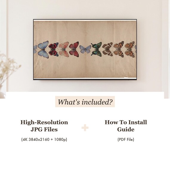 Butterfly Specimen Plate Samsung Frame TV Art — view 4
