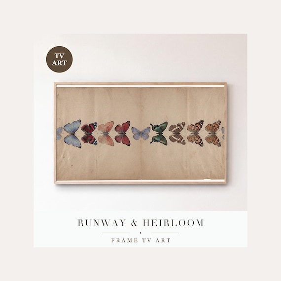 Butterfly Specimen Plate Frame TV Art, Samsung Frame TV Art Victorian Entomology Gouache, Dark …