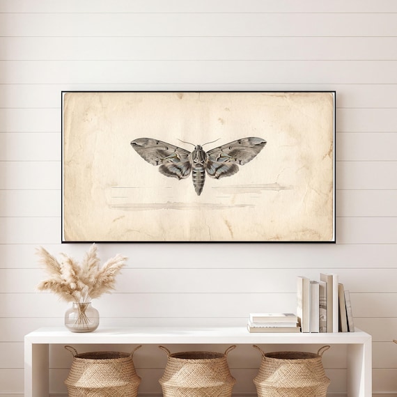 Single Moth Samsung Frame TV Art — view 6