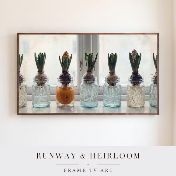 Hyacinth Jars Samsung Frame TV Art — view 5