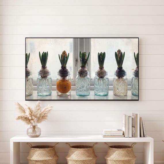 Hyacinth Jars Samsung Frame TV Art — view 6