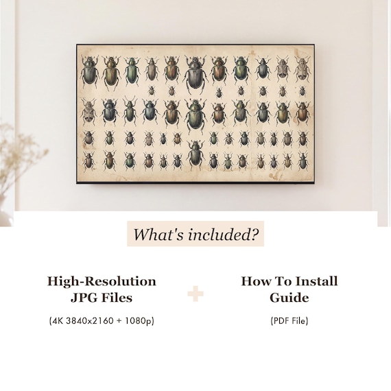 Beetle Specimen Plate Samsung Frame TV Art — view 4