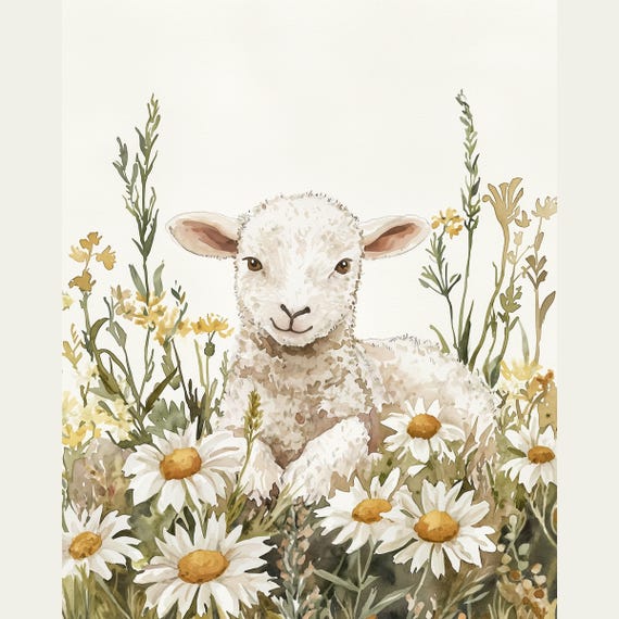 Baby Lamb Nursery Wall Art