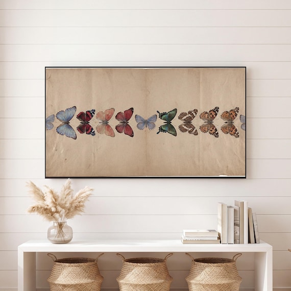 Butterfly Specimen Plate Samsung Frame TV Art — view 6