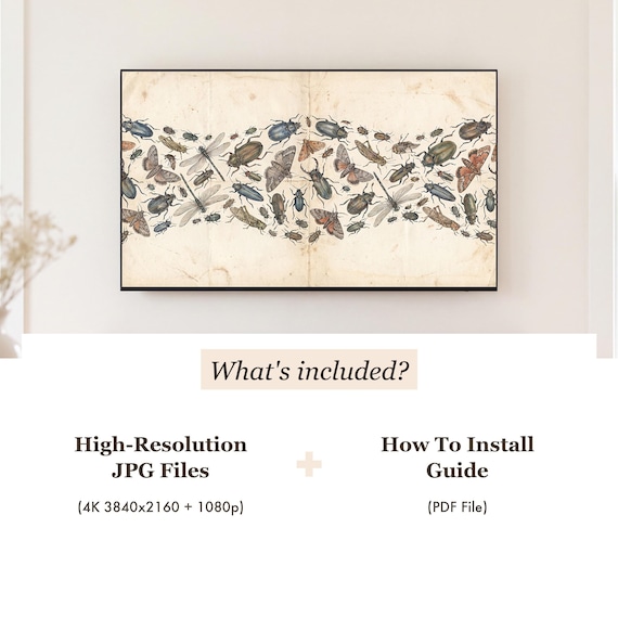 Insect Specimen Plate Samsung Frame TV Art — view 4