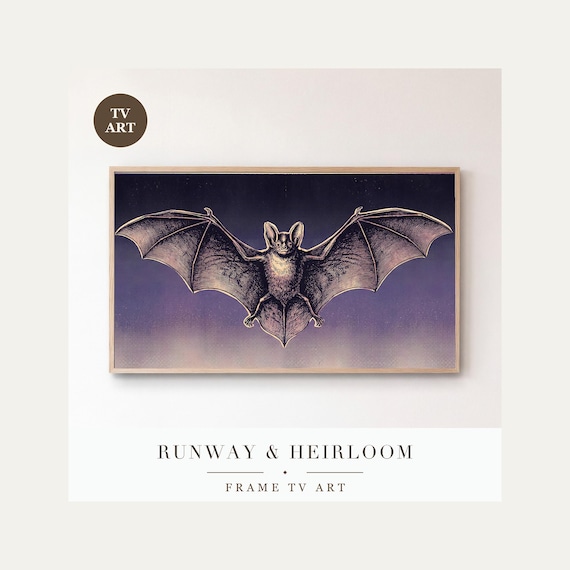 Frame TV Art Bundle of 24, Vintage Bats and Ravens Night Sky 4K Download