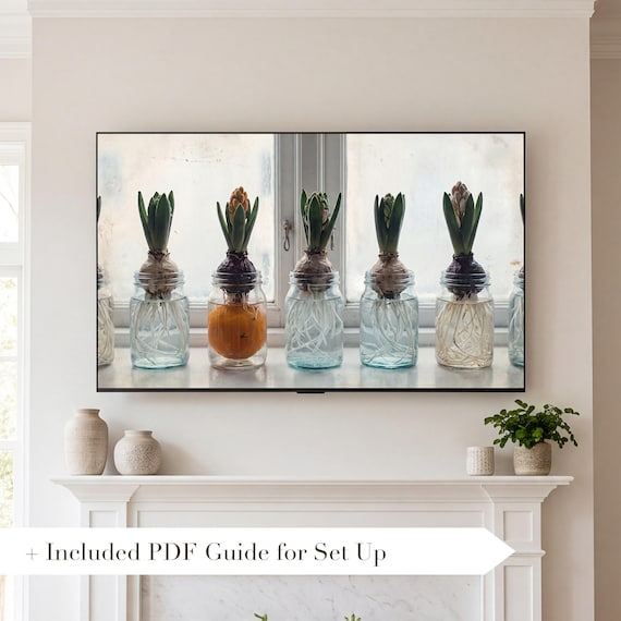 Hyacinth Jars Samsung Frame TV Art — view 2