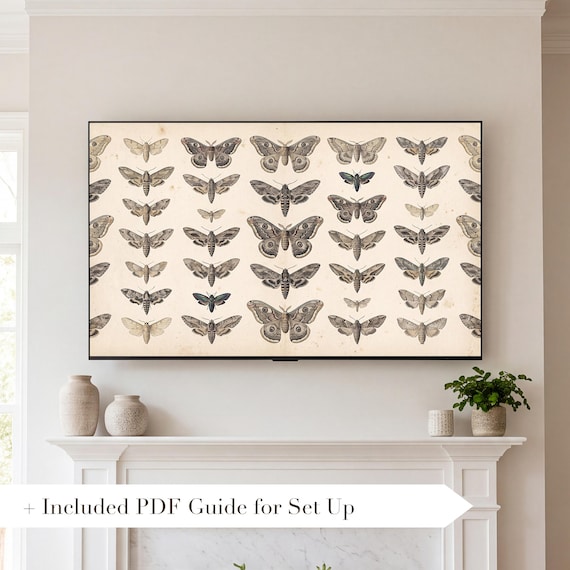 Moth Specimen Plate Samsung Frame TV Art — view 2