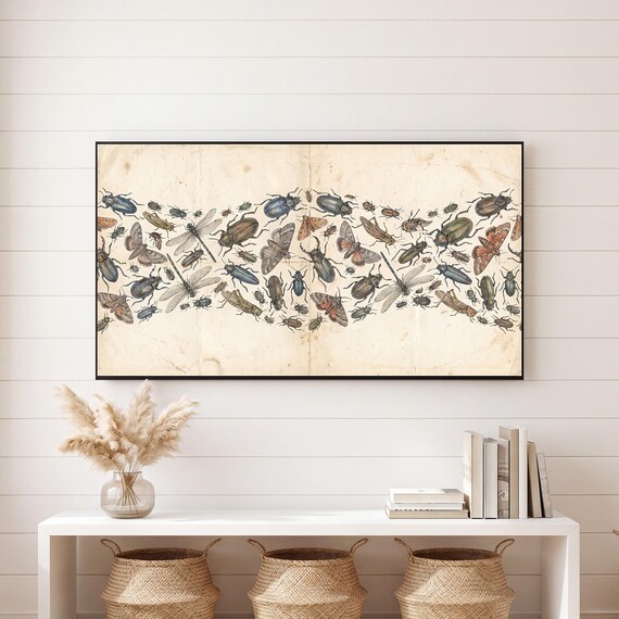 Insect Specimen Plate Samsung Frame TV Art — view 6