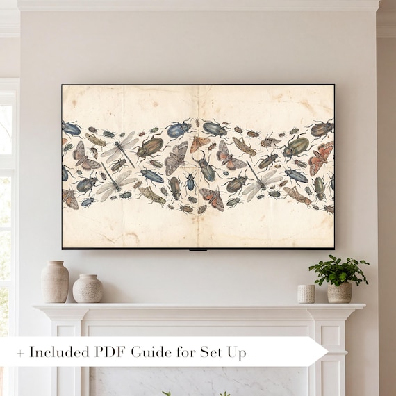 Insect Specimen Plate Samsung Frame TV Art — view 2