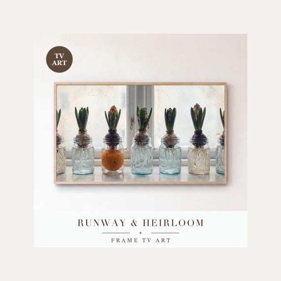 Hyacinth Jars Frame TV Art, Samsung Frame TV Art Scandinavian Winter Still Life, Hygge Christma…