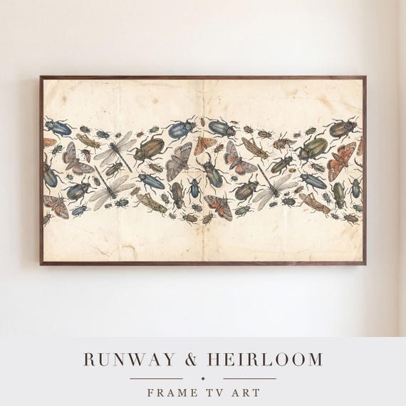 Insect Specimen Plate Samsung Frame TV Art — view 5