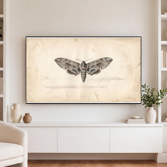 Single Moth Samsung Frame TV Art — view 3