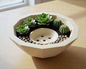 Sukkulenten Schale | 3D Gedrucktes Gericht Gartentopf | Flache Kaktusschale mit Ablauf | Herzstück Planter | Pflanzengeschenk