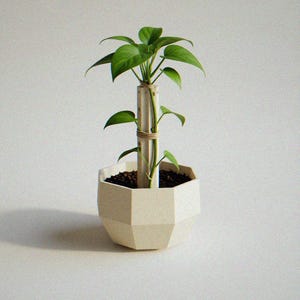 Self-Staking Plant Pot | Faceted Drainage Planter for Leaning Plants