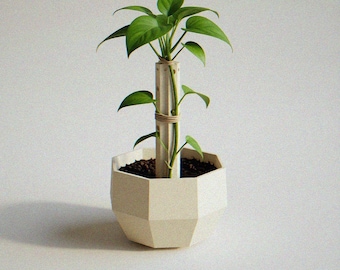 Selbst absteckender Blumentopf | Eingebauter Stützpfahl für kopflastige Pflanzen | Facettierte Drainage Planter | Pothos Hoya Sukkulente
