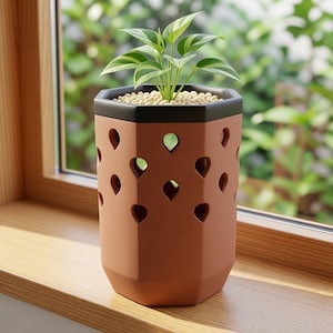 May include: A hexagonal terracotta-colored planter featuring a black rim and a repeating pattern of teardrop-shaped cutouts. The planter contains a small green plant with variegated leaves and light-colored soil covering the top surface.