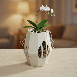 Geometric Orchid Planter, Open Air Plant Holder, Root Window Ventilation Pot