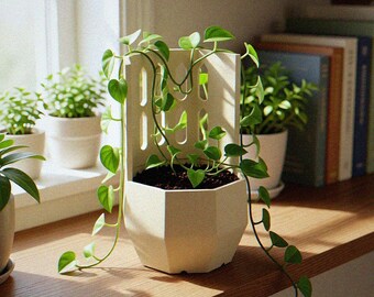 Rankgitter | 3D-gedruckter Topf mit eingebautem Rankgitter | Kletterpflanzentopf für Hoya Pothos | Zimmerpflanzenschutz Geschenk