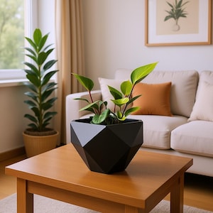 Peut inclure: Un pot noir géométrique avec une plante verte est posé sur une table basse en bois. La plante a de grandes feuilles vert vif et des tiges rouges. Une grande plante verte dans un pot tressé est à l'arrière-plan, avec un canapé blanc et une œuvre encadrée.