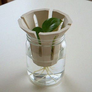May include: A clear glass jar filled with water containing a light beige, slotted, geometric plant propagation insert. A green plant cutting with visible white roots is positioned inside the insert, with the roots submerged in the water.