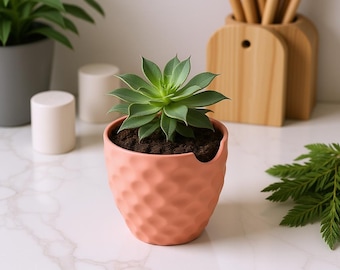 Limacon Curve Übertopf Dusty Rose | Pascal Mathe Kunst Kanne | Cottagecore Regal Sukkulenten Geschenk