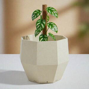 May include: A cream-colored, geometric, multi-faceted planter pot with a textured surface. A small green plant with variegated leaves is supported by a central brown, cylindrical, fiber-wrapped moss pole extending vertically from the center.