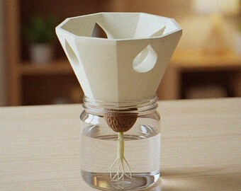 Glühbirne Forcing Vase & Avocado-Kerne-Halter | Wurzelansicht-Vermehrungssockel