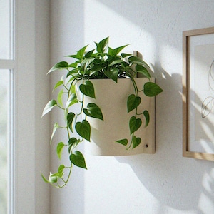 May include: A wall-mounted, semi-circular planter in a matte off-white finish, featuring a trailing green pothos plant with heart-shaped leaves cascading over the sides. The planter is secured to a flat vertical surface with visible hardware.