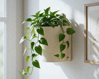 Wall Mount Planter | Flat-Back D-Shape Pot Saves Shelf Space | Drainage Hole Indoor Plant Holder | Vertical Garden Wall Decor