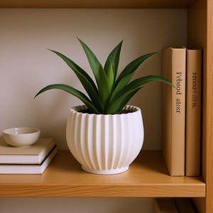 以下が含まれることがあります： 垂直にリブが入った白い円形のセラミック製プランターに植えられた緑色の多肉植物。中心から放射状に広がる剣のような形の尖った葉が特徴で、縁が波打った滑らかなマット仕上げの容器に収められています。
