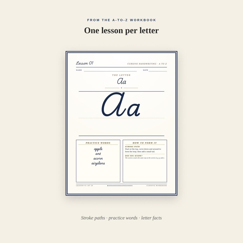 Ant In Cursive Cursive Handwriting Workbook | Adult Learner Practice A-Z (PDF Download ...